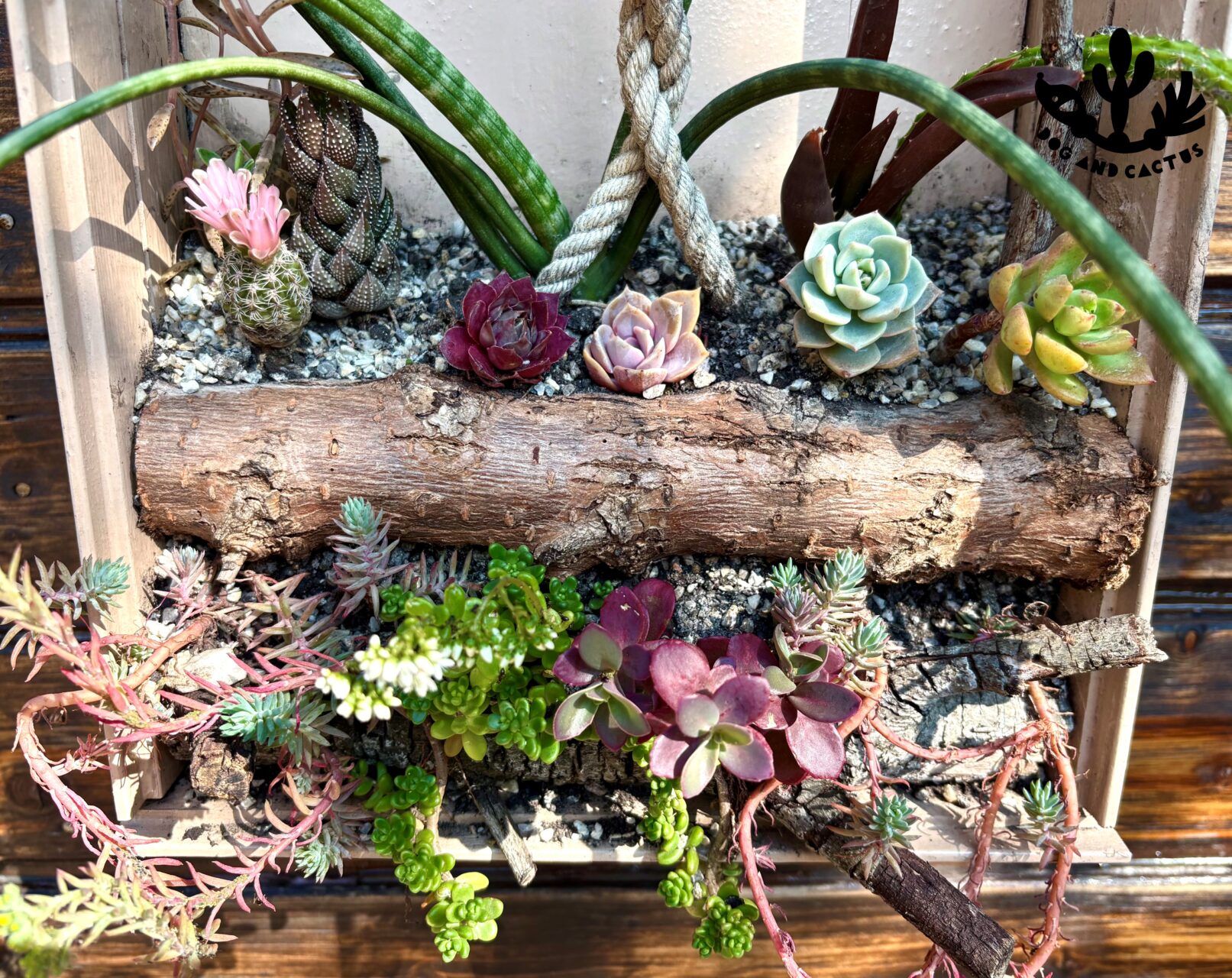 IMG_3142_Watermarked